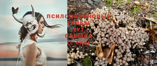 герыч Балахна