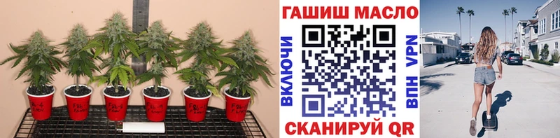 Дистиллят ТГК вейп с тгк  Купить закладки  Данков 