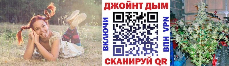Купить  Данков  Конопля ГИДРОПОН 